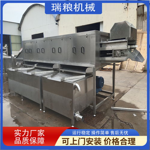 瑞糧機械生產(chǎn) 大姜加工設(shè)備 洗姜機器 鮮姜去泥設(shè)備