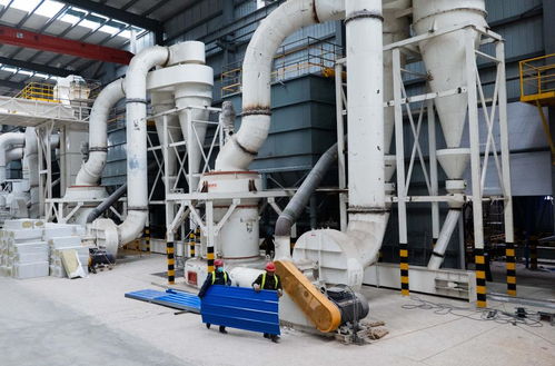 它經(jīng)濟 觀察 中國貓砂展現(xiàn) 科技范 綠色風(fēng)