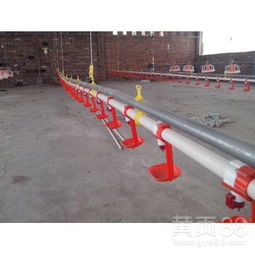 飼養(yǎng)專用設(shè)備環(huán)保機(jī)械喂養(yǎng)養(yǎng)殖水線——水資源專用機(jī)械設(shè)備制造